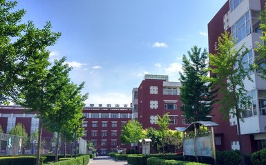 北京市信息管理學校、學校招生計劃